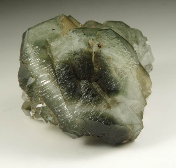 Apophyllite included with Chlorite from Millington Quarry, Bernards Township, Somerset County, New Jersey