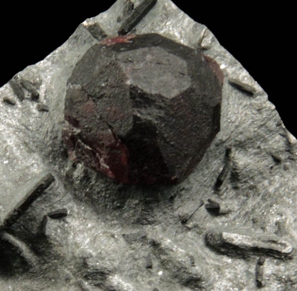 Almandine Garnet and Dravite in Phyllite from Red Embers Mine, Erving, Franklin County, Massachusetts