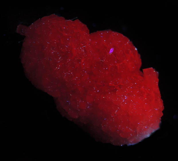 Photo below under longwave ultraviolet illumination of Olmiite from N'Chwaning II Mine, Kalahari Manganese Field, Northern Cape Province, South Africa (Type Locality for Olmiite) Olmiite from N'Chwaning II Mine, Kalahari Manganese Field, Northern Cape Province, South Africa (Type Locality for Olmiite)