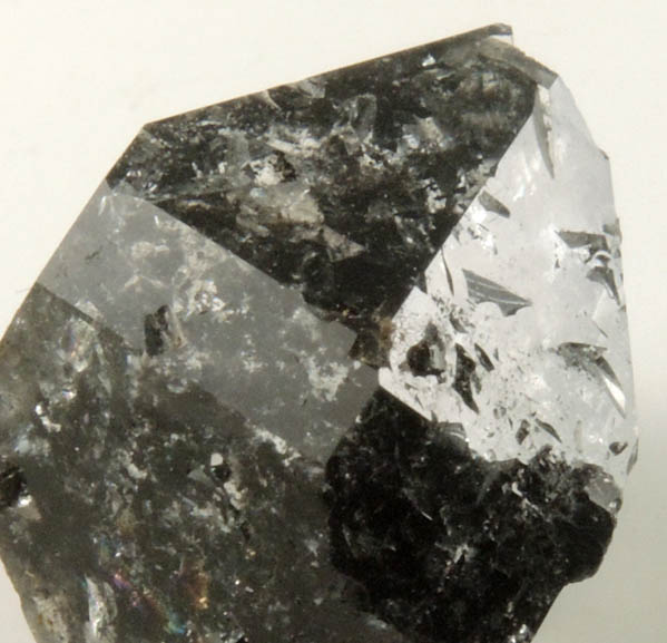 Quartz var. Black Herkimer Diamond with black hydrocarbon inclusions from Hickory Hill Diamond Diggings, Fonda, Montgomery County, New York