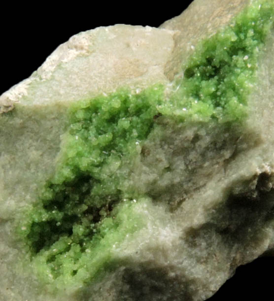 Uvarovite Garnet with minor Tremolite from Fengtien Mine, Conc. S., 5 kilometers west of Fengtien village, Hualien, Taiwan