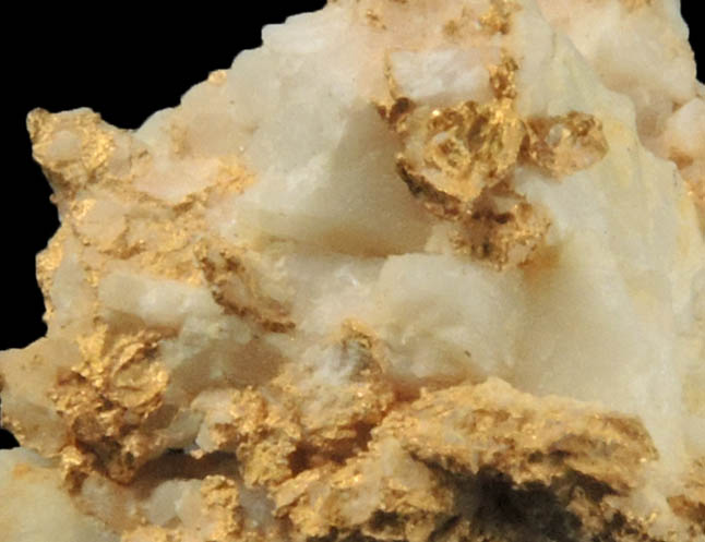 Gold (native gold) in Quartz from Mother Lode Gold Belt, Mariposa County, California