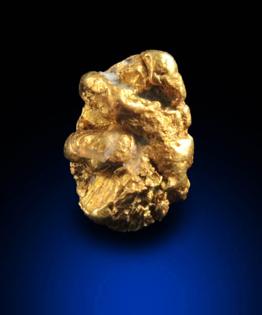 Gold from Mother Lode Gold Belt, Tuolumne County, California