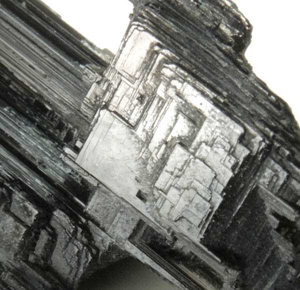 Schorl Tourmaline (etched crystals) from Minas Gerais, Brazil