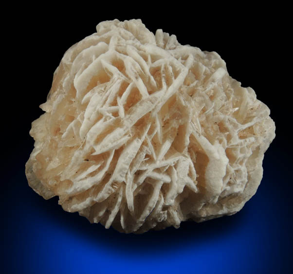 Gypsum var. Desert Rose from Ahumada Playa, Chihuahua, Mexico