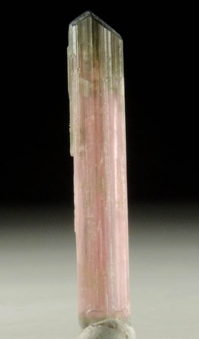 Elbaite var. Rubellite Tourmaline from Himalaya Mine, Mesa Grande District, San Diego County, California