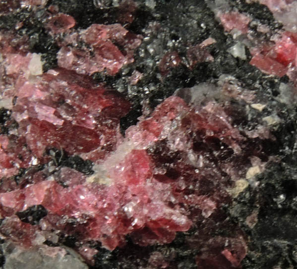 Eudialyte, Kataphorite, Nepheline from Kipawa Complex, Villedieu Twp., Qubec, Canada