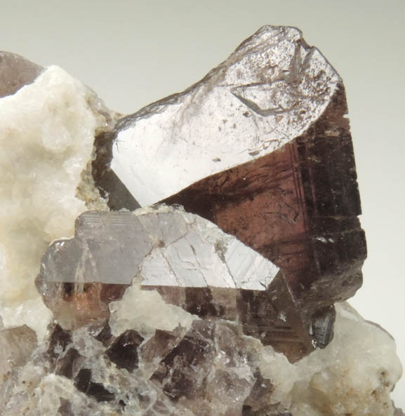 Axinite-(Fe) from Bourg d'Oisans, Isere, Dauphin Region, Rhone-Alpes, France (Type Locality for Axinite-(Fe))