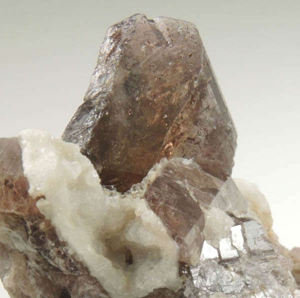 Axinite-(Fe) from Bourg d'Oisans, Isere, Dauphin Region, Rhone-Alpes, France (Type Locality for Axinite-(Fe))