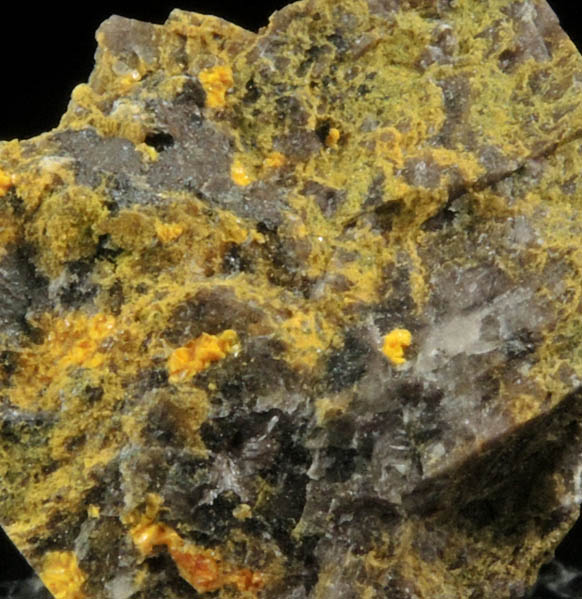 Zippeite from Ridenaur Mine, Prospect Canyon, Coconino County, Arizona