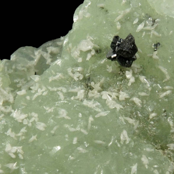 Babingtonite and Calcite on Prehnite from Millington Quarry, Bernards Township, Somerset County, New Jersey