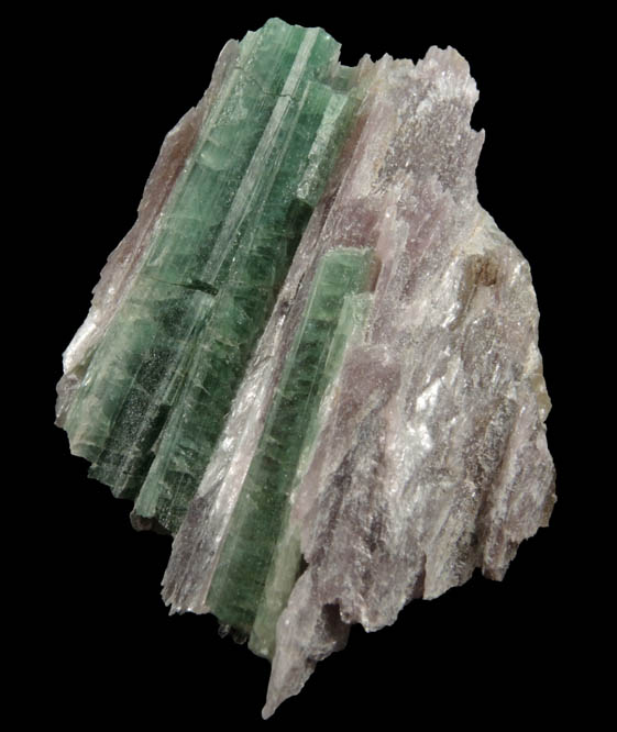 Elbaite Tourmaline in Lepidolite from Havey Quarry, Poland, Androscoggin County, Maine