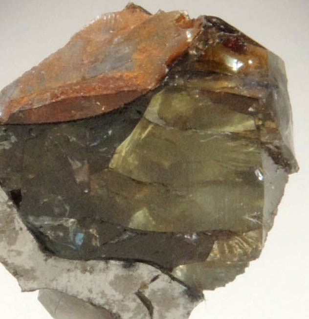 Pallasite Meteorite Polished Slice (partial) from near Seymchan, 	Magadan Oblast, Russia