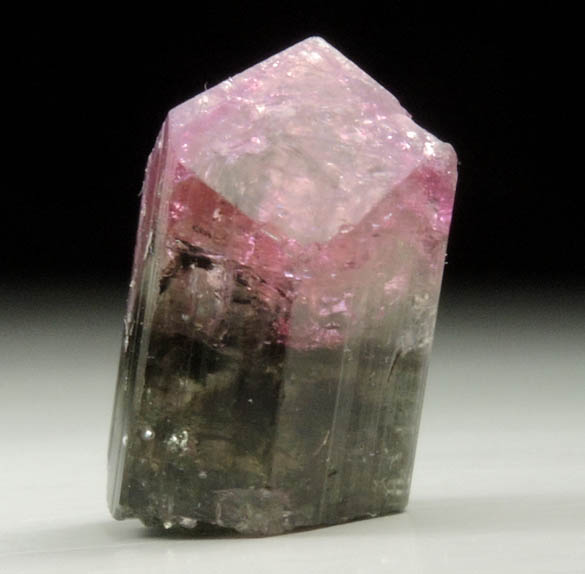 Elbaite Tourmaline (bi-colored) from Anjanabonoina, near Ambohimanambola, Betafo District, Vakinankaratra, Madagascar