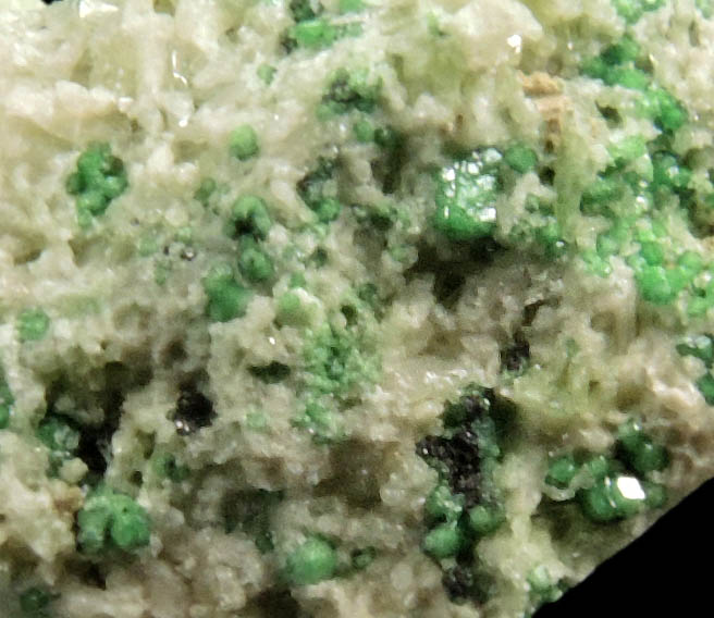 Uvarovite Garnet with Chromite cores plus Diopside and Tremolite from Fengtien Mine, Conc. S., 5 kilometers west of Fengtien village, Hualien, Taiwan