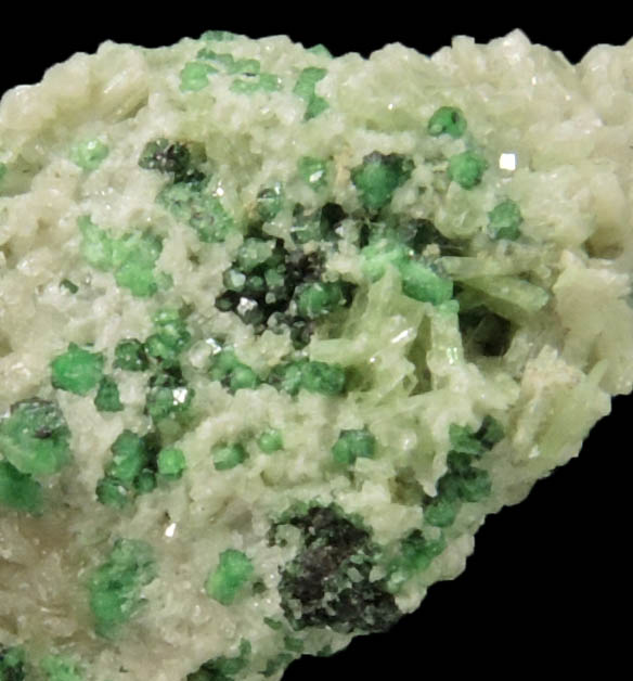 Uvarovite Garnet with Chromite cores plus Diopside and Tremolite from Fengtien Mine, Conc. S., 5 kilometers west of Fengtien village, Hualien, Taiwan