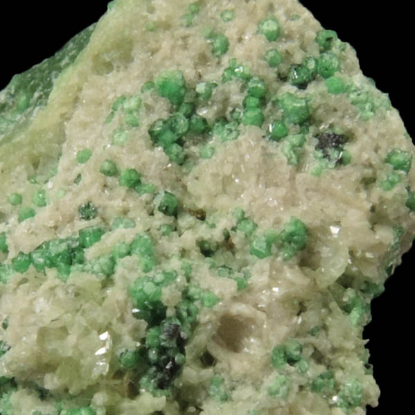 Uvarovite Garnet with Chromite cores plus Diopside and Tremolite from Fengtien Mine, Conc. S., 5 kilometers west of Fengtien village, Hualien, Taiwan