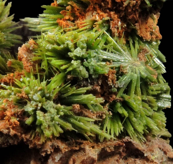 Pyromorphite from Saint-Salvy-de-la-Balme, Occitanie, France