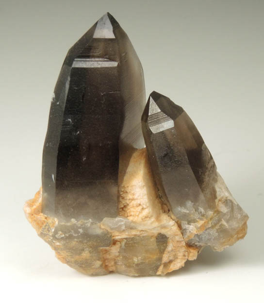 Quartz var. Smoky Quartz (with rare crystal faces) from Lake George District, Park County, Colorado