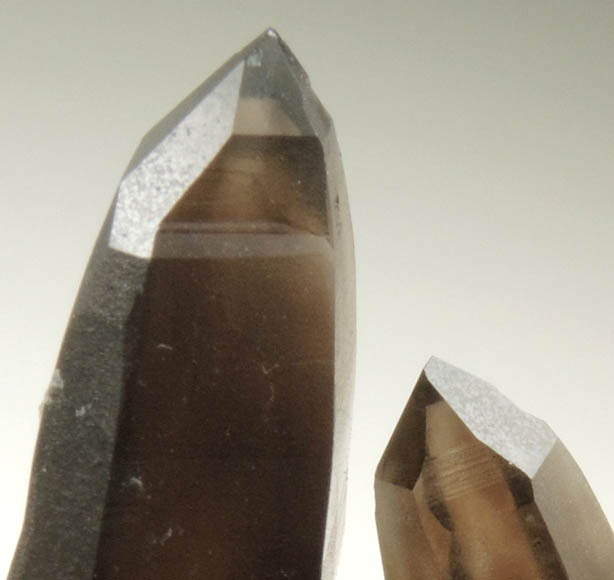 Quartz var. Smoky Quartz (with rare crystal faces) from Lake George District, Park County, Colorado