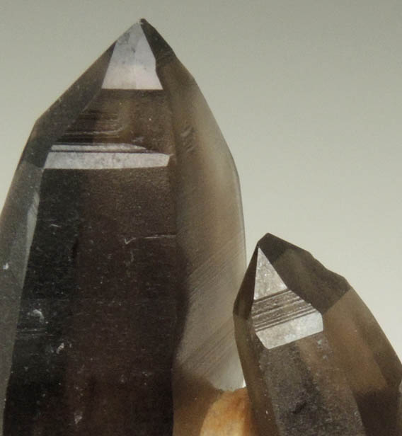 Quartz var. Smoky Quartz (with rare crystal faces) from Lake George District, Park County, Colorado