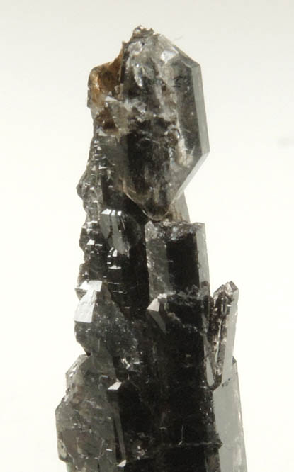 Quartz var. Black Herkimer Diamonds with black hydrocarbon inclusions from Hickory Hill Diamond Diggings, Fonda, Montgomery County, New York