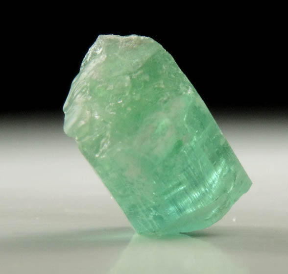 Elbaite Tourmaline from Havey Quarry, Poland, Androscoggin County, Maine