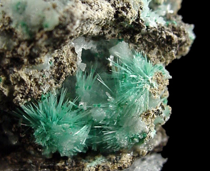 Aurichalcite on Smithsonite from 79 Mine, Banner District, near Hayden, Gila County, Arizona