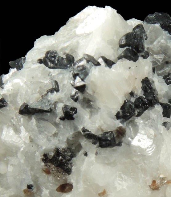 Spinel and Phlogopite in marble from Lime Crest Quarry (Limecrest), Sussex Mills, 4.5 km northwest of Sparta, Sussex County, New Jersey