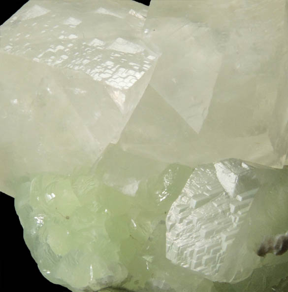 Calcite (interpenetrant-twinned crystals) on Prehnite from Millington Quarry, Bernards Township, Somerset County, New Jersey