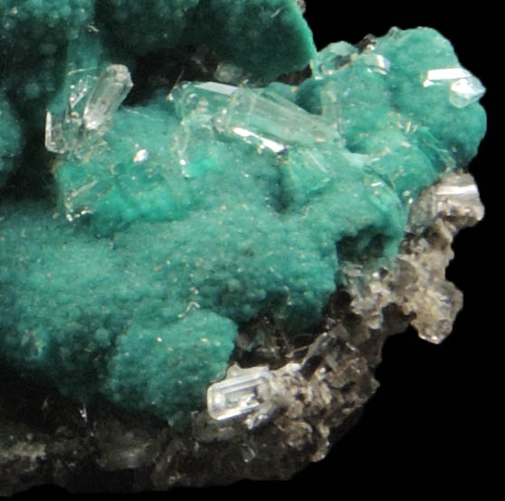 Rosasite with Hemimorphite from 79 Mine, Banner District, near Hayden, Gila County, Arizona