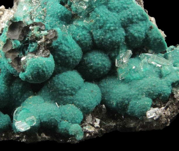 Rosasite with Hemimorphite from 79 Mine, Banner District, near Hayden, Gila County, Arizona