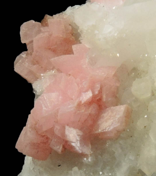 Rhodochrosite on Quartz from Silverton District, San Juan County, Colorado