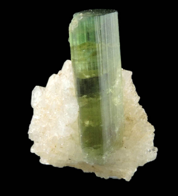 Elbaite Tourmaline from Mount Apatite, Auburn, Androscoggin County, Maine