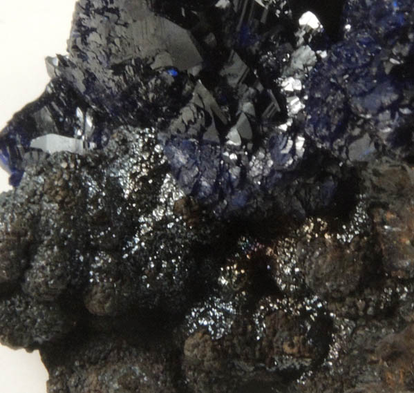 Azurite with Heterogenite from Morenci Mine, 4750' Level, Lone Star Area, Clifton District, Greenlee County, Arizona