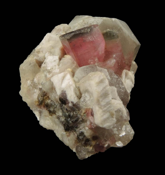 Elbaite var. Rubellite Tourmaline in Quartz and Albite from Mogok District, 115 km NNE of Mandalay, Mandalay Division, Myanmar (Burma)