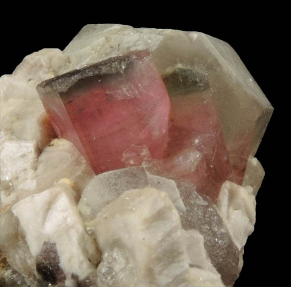 Elbaite var. Rubellite Tourmaline in Quartz and Albite from Mogok District, 115 km NNE of Mandalay, Mandalay Division, Myanmar (Burma)