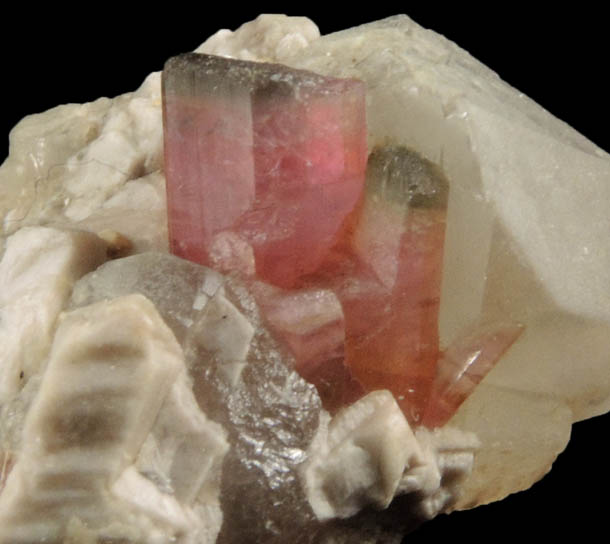 Elbaite var. Rubellite Tourmaline in Quartz and Albite from Mogok District, 115 km NNE of Mandalay, Mandalay Division, Myanmar (Burma)