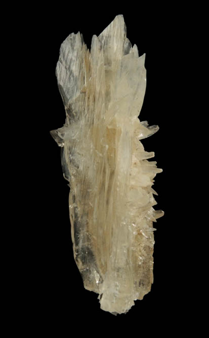 Calcite var. Cactus Calcite from Yerington, Lyon County, Nevada