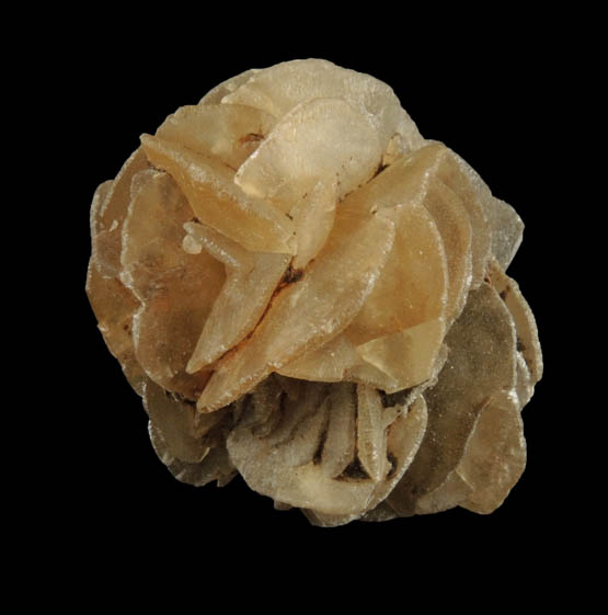 Gypsum var. Desert Rose from Death Valley Playa, Inyo County, California