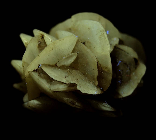 Gypsum var. Desert Rose from Death Valley Playa, Inyo County, California