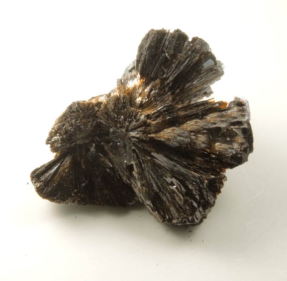 Goethite from Crystal Peak area, 6.5 km northeast of Lake George, Park-Teller Counties, Colorado