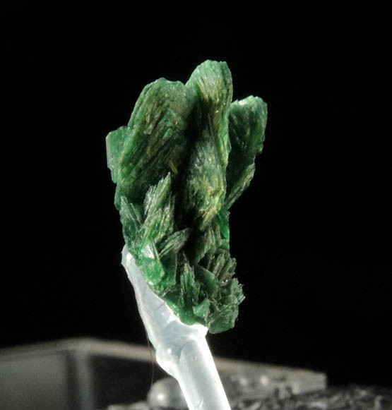 Torbernite from Mine de Margabal, Rodez, Aveyron, Occitanie, France