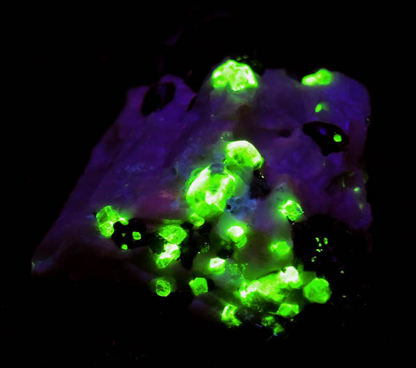 Photo below under shortwave ultraviolet illumination of Franklinite in Calcite with Willemite from Franklin District, Sussex County, New Jersey (Type Locality for Franklinite) Franklinite in Calcite with Willemite from Franklin District, Sussex County, New Jersey (Type Locality for Franklinite)