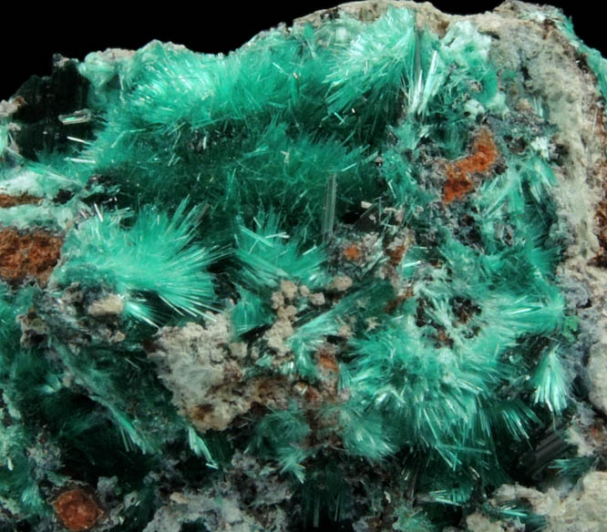 Brochantite from Kabolela Mine, 13 km W of Kambove, Katanga Copperbelt, Lualaba Province, Democratic Republic of the Congo