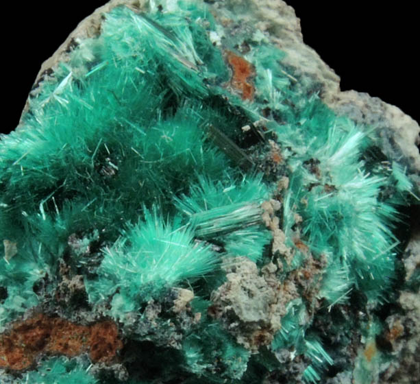 Brochantite from Kabolela Mine, 13 km W of Kambove, Katanga Copperbelt, Lualaba Province, Democratic Republic of the Congo