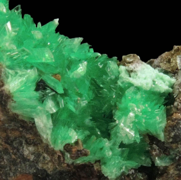 Annabergite from Lavrion (Laurium) Mining District, Attica Peninsula, Greece