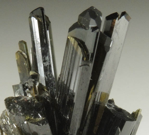 Epidote from Knappenwand, Untersulzbachtal, near Salzburg, Austria