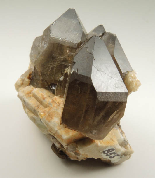 Quartz var. Smoky Quartz (with rare crystal faces) from Oliver Diggings, Middle Moat Mountain, Hale's Location, west of North Conway, New Hampshire