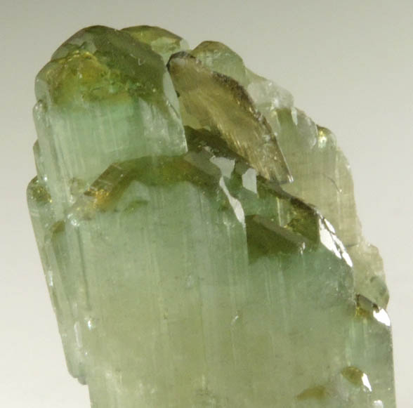 Elbaite Tourmaline from Stak Nala, Skardu Road, Baltistan, Gilgit-Baltistan, Pakistan